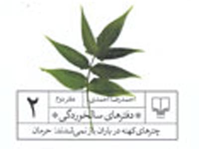 دومین دفتر سالخوردگی احمدی منتشر شد