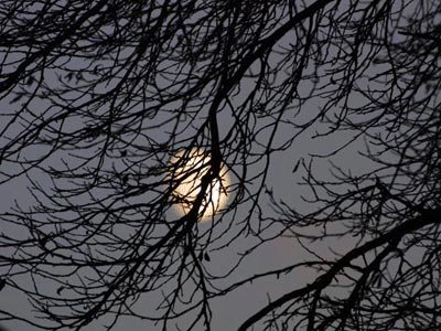 اگر روزی ماه مال شما بود، با آن چه می‌کردید؟