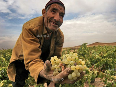 نخستين جشنواره تورهاي عكاسي چليك برگزار مي شود