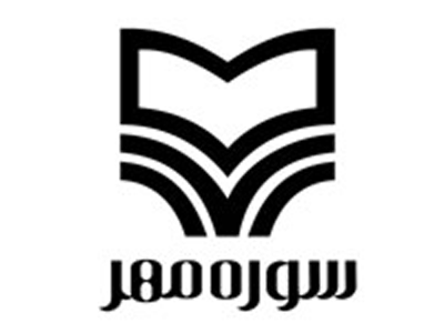مسجد، تاريخ، پيشرفت‌هاي معماري و تنوع منطقه‌اي