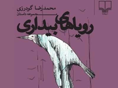 «رویاهای بیداری» محمد رضا گودرزی نقد و بررسی می شود