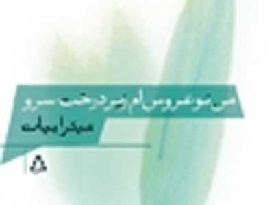 من نو عروس‌ام زیر درخت سرو/می‌توانی همه‌ رازها را در مچ دست‌های لاغرم ببینی
