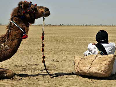 راهيابي مستند «اسكو» به جشنواره «ايدفا»