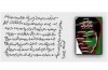 نورالدین‌های بسیاری در هشت سال دفاع مقدس داشتیم