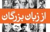 کلید اسرار زندگی از زبان بزرگان؛ از گاندی و چاپلین تا سعدی و علی شریعتی