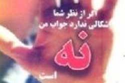 اگر از نظر شما اشکالی ندارد جواب من نه است
