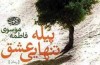 رمان «پیله تنهایی عشق»،قدرت درونی در مقابله با سرطان
