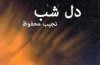 دل شب به تهران رسید