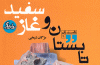 «سروناز و باغ هزار پیچ» در دست انتشار