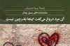 آن مرد دروغ می‌گفت اینجا بلدرچین نیست