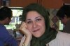 انتشار دایره‌المعارف «در حیاط خلوت نویسندگان»