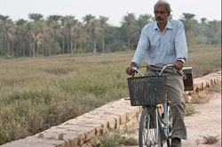 فیلم سینمایی «تاج محل» نمایش داده می شود