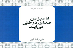 مجموعه شعر علیرضا آبیز نقد می‌شود