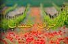 هیچ ایرانی بدون بیمه نباشد