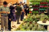 استقبال گردشگران از نمایشگاه بین المللی گل و گیاه