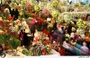 استقبال گردشگران از نمایشگاه بین المللی گل و گیاه
