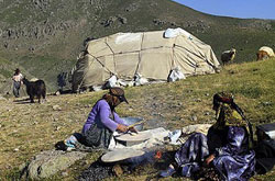 ایران موزه عشایر است