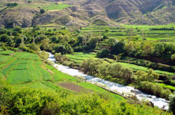 باغملک برای گردشگری تابستانه فضایی بکر دارد