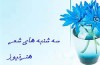 چرا رفتی چرا من بی قرارم