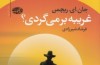 «غریبه برمی‌گردی؟» به ایران آمد/ انتشار نخستین اثر از ریچمن به زبان فارسی